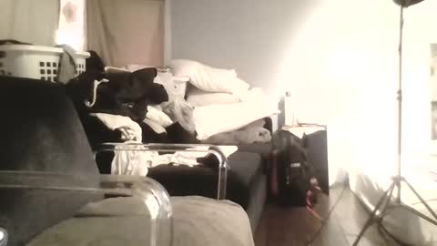 speedsoldier online show from October 2025 05:35:01 PM