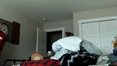 sportfish online show from February 2026 10:33:01 PM