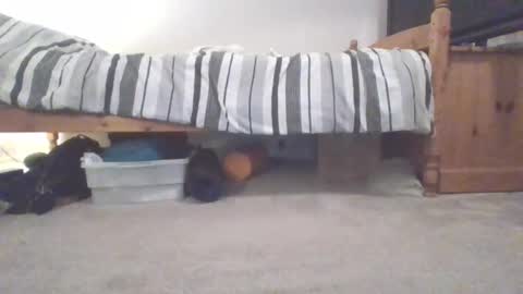 Sportyguy283 online show from March 2025 10:05:02 PM