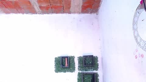 valeria online show from January 2025 12:19:02 AM