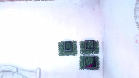 valeria online show from January 2025 12:17:01 AM