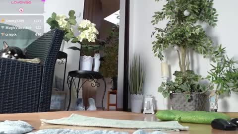 Snapshot of squirtmanica chatting on January 2025 07:20:01 AM Monica online show from January 2025 07:20:01 AM