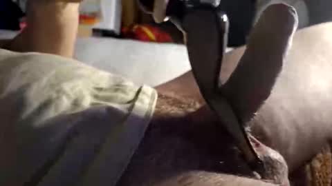 srb543 online show from December 2025 09:09:02 PM