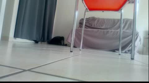 ssenzo online show from December 2025 02:13:01 PM