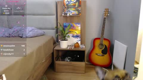 Snapshot of stacy_davise chatting on February 2025 02:08:01 AM STACY online show from February 2025 02:08:01 AM