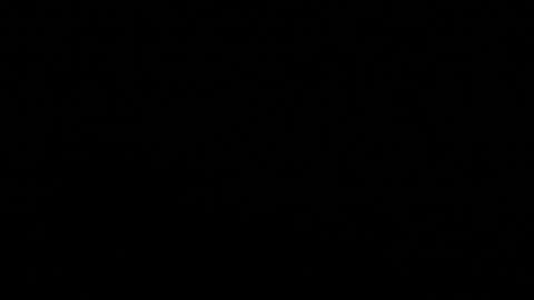 Stacy  online show from November 2025 11:21:01 AM