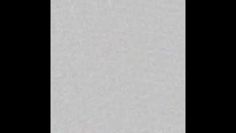 Snapshot of stacymaliibu chatting on October 2025 12:28:02 PM Stacy online show from October 2025 12:28:02 PM