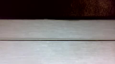 starlebomb online show from March 2026 06:03:02 PM