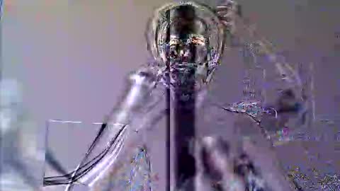 Slava GAY. PVT OPEN. online show from September 2025 06:13:01 PM