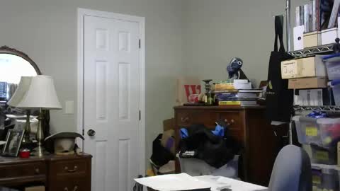 stasw20 online show from September 2025 05:45:02 PM