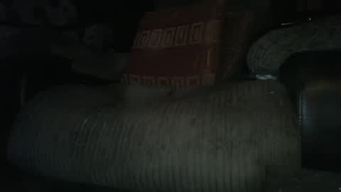 ste_wulf online show from March 2025 01:34:02 AM
