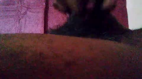 stebel666185 online show from September 2025 01:24:02 PM