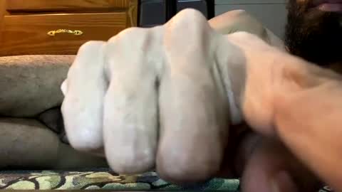 Lobo del Antiguo Oriente online show from March 2026 05:40:02 AM