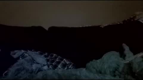 stefy1037 online show from April 2026 04:38:02 AM