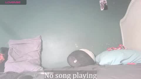 Stella Clitella online show from November 2025 09:09:02 AM