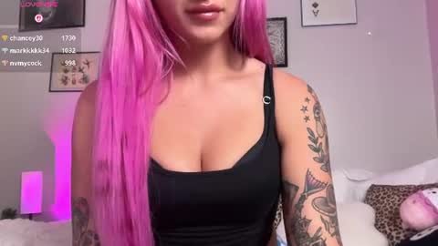 Snapshot of stellacorbet chatting on June 2026 04:12:02 AM stellacorbet online show from June 2026 04:12:02 AM