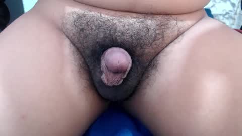 Stellaven online show from February 2025 06:56:01 AM