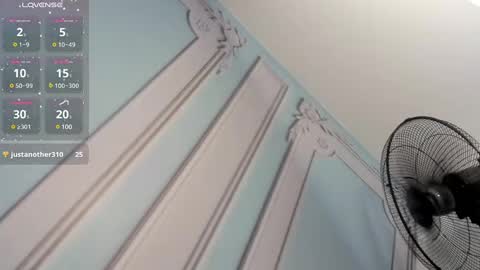         online show from January 2025 09:44:02 AM