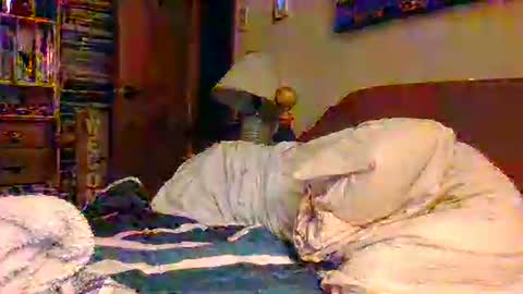 Ian23602 online show from December 2025 12:01:02 PM