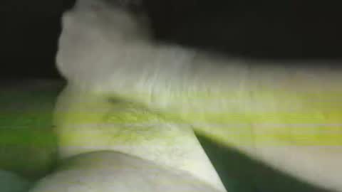 Snapshot of steve093066 chatting on October 2025 10:59:01 AM Steve online show from October 2025 10:59:01 AM