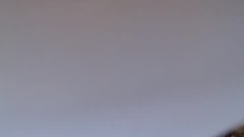 Snapshot of steve_oo8 chatting on March 2026 11:24:01 AM steve_oo8 online show from March 2026 11:24:01 AM