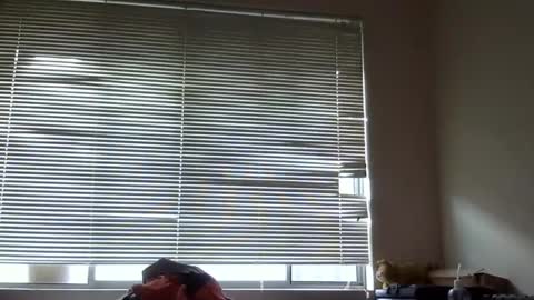 Snapshot of steveaussie chatting on December 2024 09:41:01 PM Australian420 online show from December 2024 09:41:01 PM