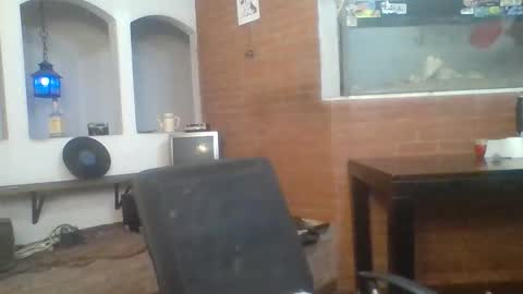Snapshot of stevenson988 chatting on May 2026 10:18:02 PM stevenson988 online show from May 2026 10:18:02 PM
