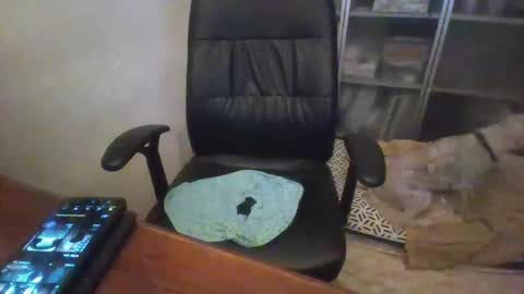 rainy online show from December 2025 01:11:02 AM