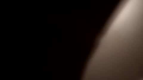 Oval2022 online show from December 2024 08:18:01 AM