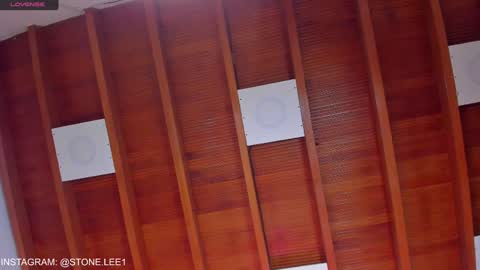 Stone Lee  online show from January 2025 01:53:01 PM