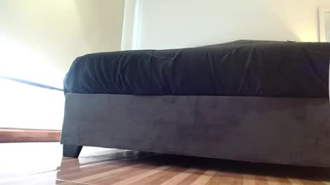 storm_hanks online show from January 2026 11:38:02 AM