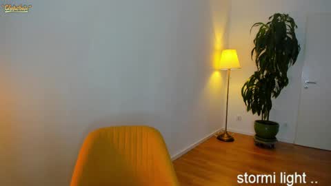 Snapshot of stormi_light chatting on February 2025 08:58:02 PM Stormi online show from February 2025 08:58:02 PM