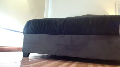 Snapshot of stormy_carter chatting on November 2025 12:15:01 PM stormy carter online show from November 2025 12:15:01 PM