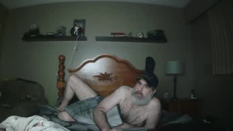 Straightbear4you online show from February 2025 10:40:02 AM