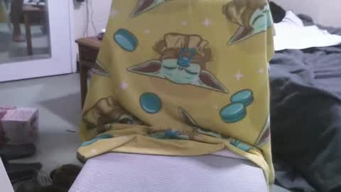 straightstroker81 online show from February 2026 10:08:02 AM