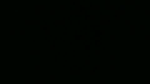 strangerdanger_2 online show from April 2026 11:37:01 AM