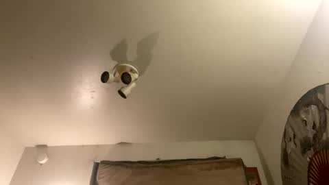 Stag online show from September 2025 07:46:02 AM