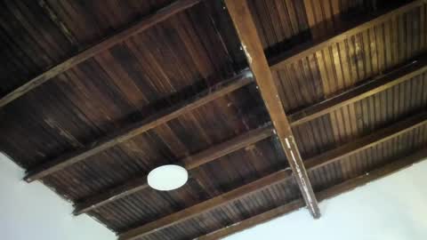 Alexa   online show from April 2026 11:01:02 AM