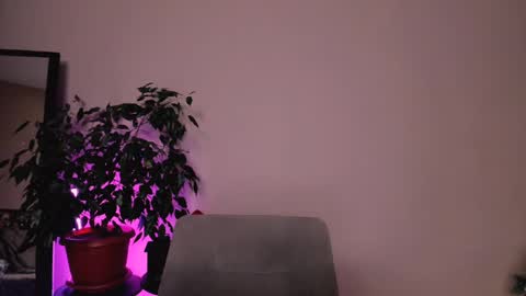 Mary online show from December 2024 01:45:02 PM