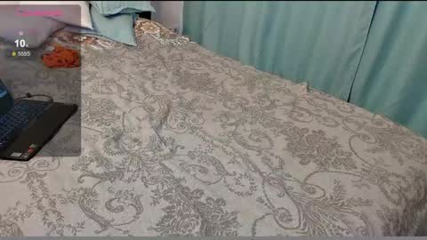 stupid little kitten online show from December 2024 09:43:02 AM