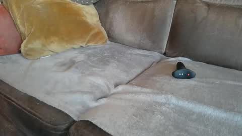 Snapshot of suessli chatting on October 2025 07:08:01 AM Suessli online show from October 2025 07:08:01 AM