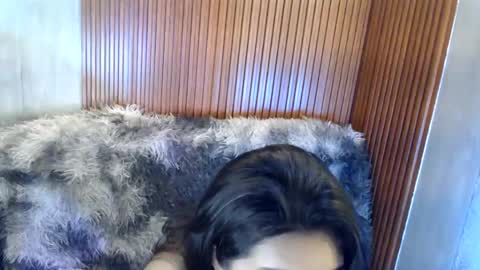 Sugar online show from December 2024 04:25:02 AM