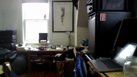 Sugar online show from April 2026 02:01:02 PM