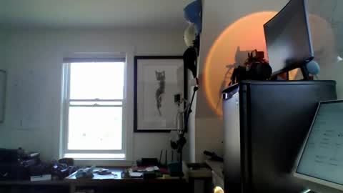 Sugar online show from April 2026 08:42:02 PM