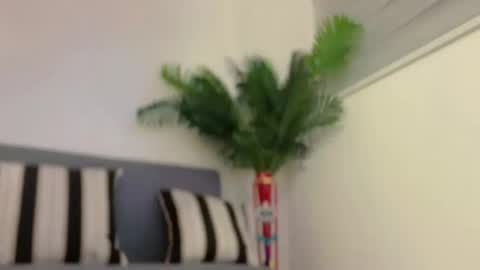 Jess online show from February 2025 07:29:01 AM