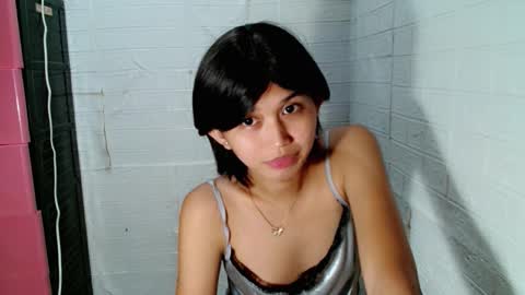 Sugar online show from December 2025 03:08:02 PM