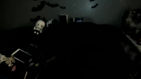 Sugary online show from February 2026 05:11:01 PM