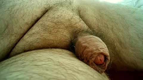 Samenspender online show from October 2025 01:47:02 PM