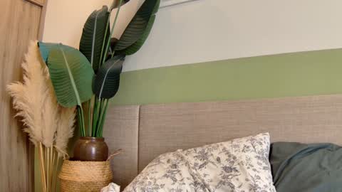 luna online show from January 2025 05:53:02 AM