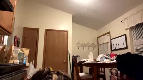 Snapshot of sunnbabe92485 chatting on September 2025 02:44:01 AM sunnbabe92485 online show from September 2025 02:44:01 AM